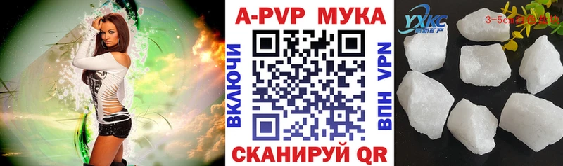 A PVP СК КРИС Реутов